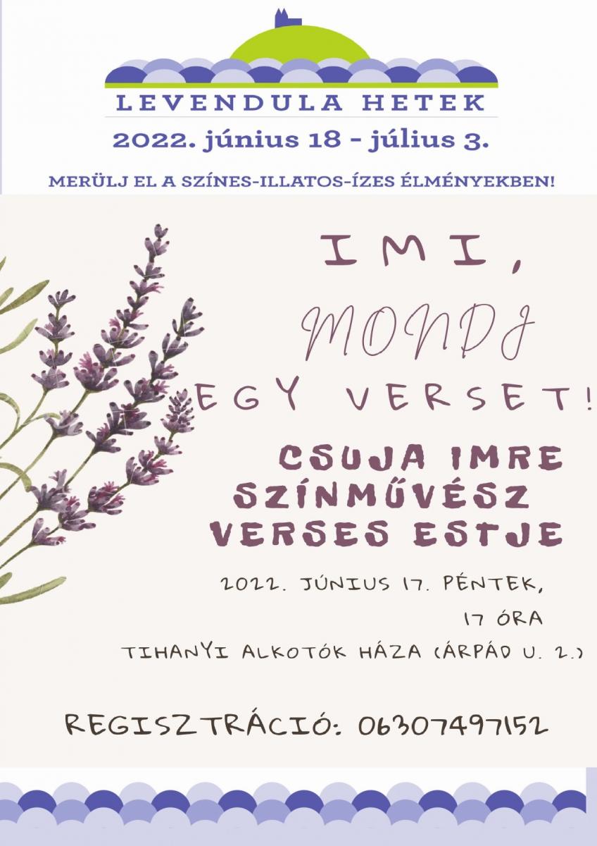 Csuja Imre