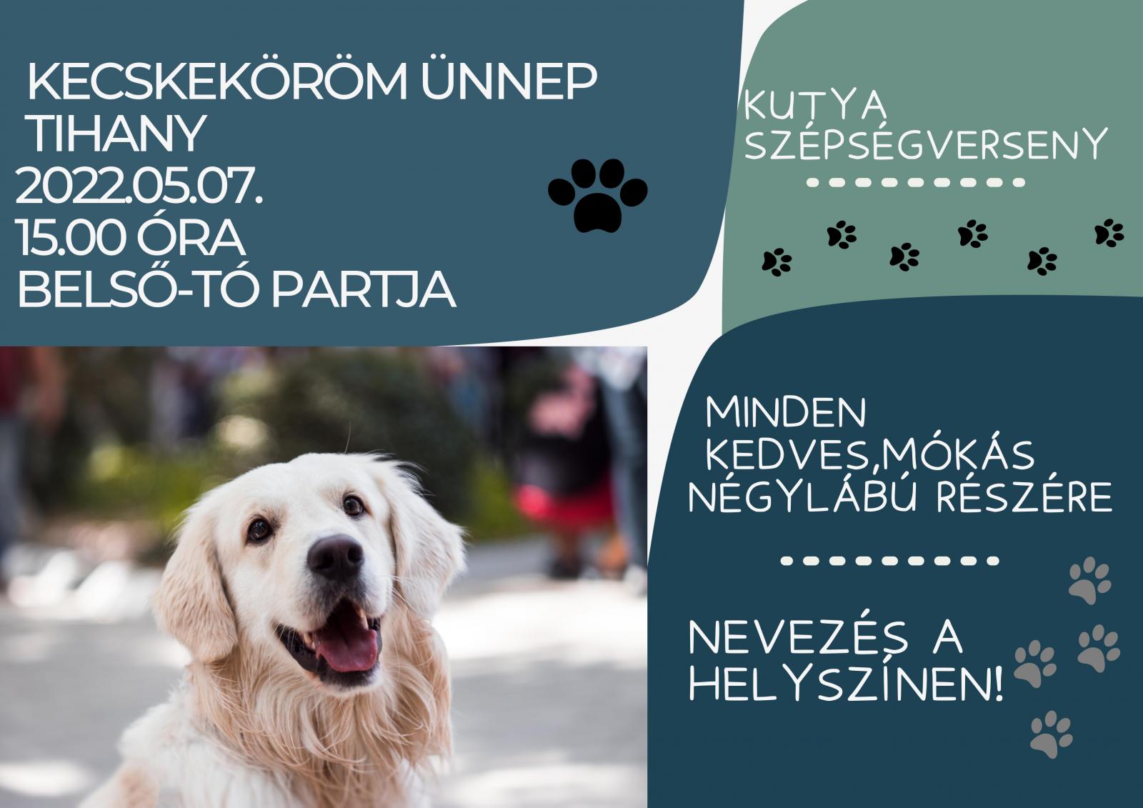 Kutyaszépségverseny