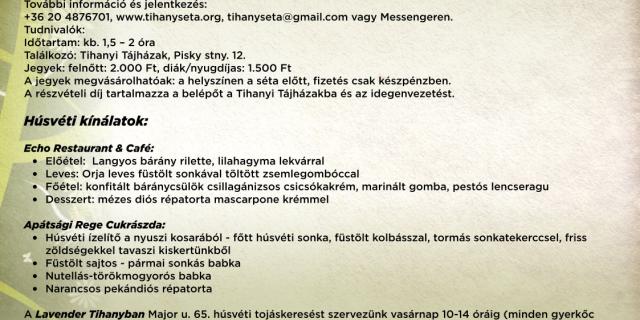 kísérőrendezvények