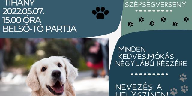 Kutyaszépségverseny