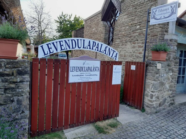 Bartus Sándor levendula palánta őstermelő