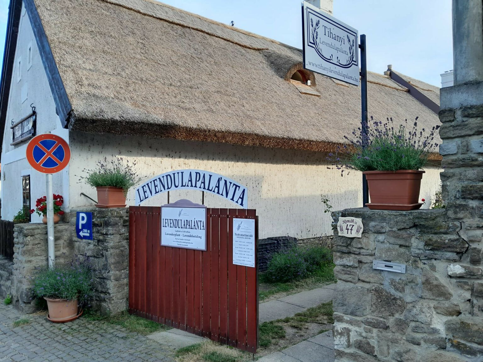 Galéria 2