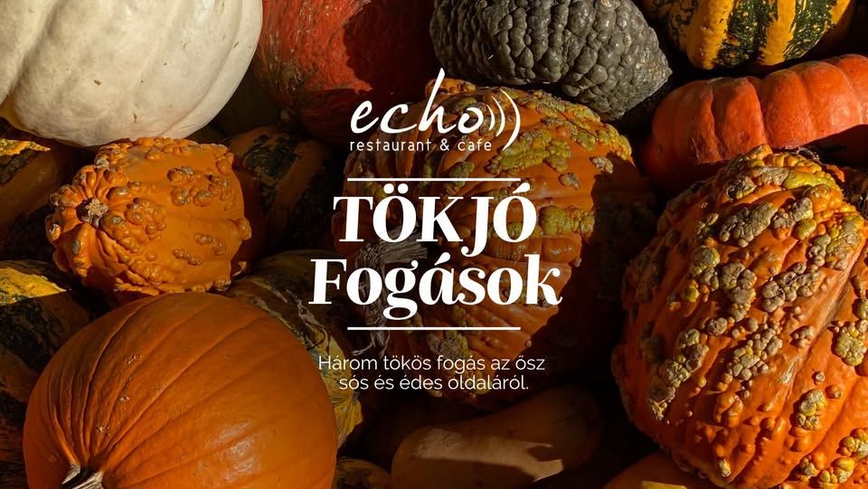 TÖK JÓ Fogások